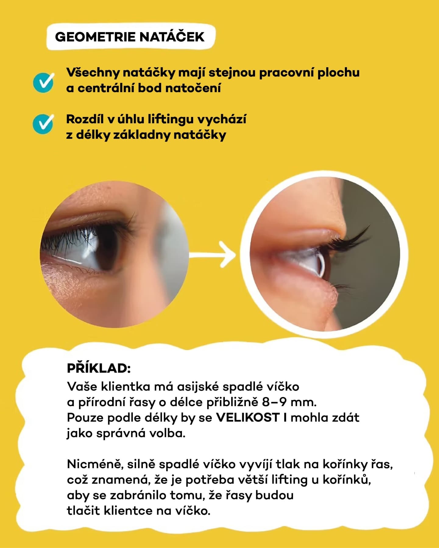 nkim-natacky-lash-lifting